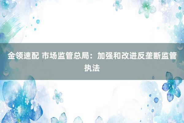 金领速配 市场监管总局：加强和改进反垄断监管执法