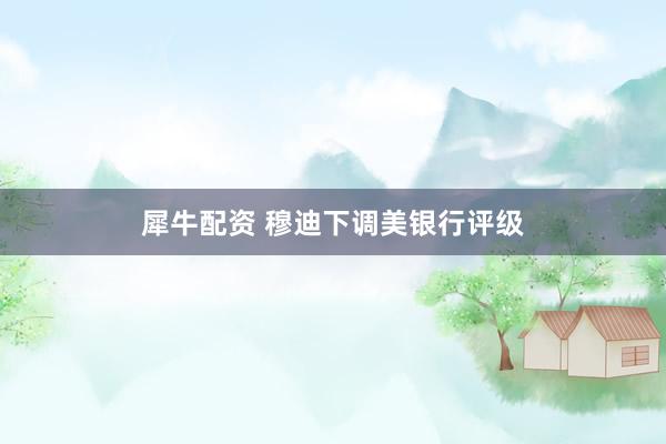 犀牛配资 穆迪下调美银行评级