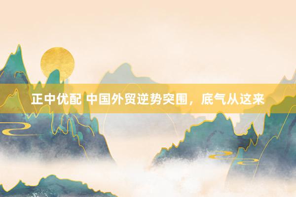 正中优配 中国外贸逆势突围，底气从这来