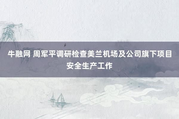 牛融网 周军平调研检查美兰机场及公司旗下项目安全生产工作
