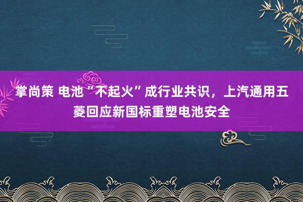 掌尚策 电池“不起火”成行业共识，上汽通用五菱回应新国标重塑电池安全