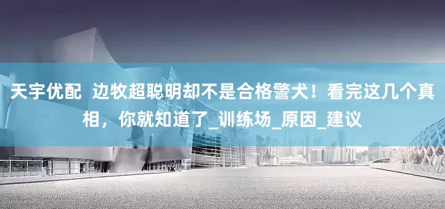 天宇优配  边牧超聪明却不是合格警犬！看完这几个真相，你就知道了_训练场_原因_建议