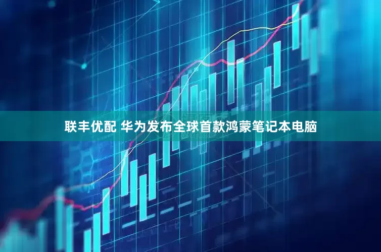 联丰优配 华为发布全球首款鸿蒙笔记本电脑