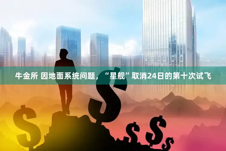 牛金所 因地面系统问题，“星舰”取消24日的第十次试飞